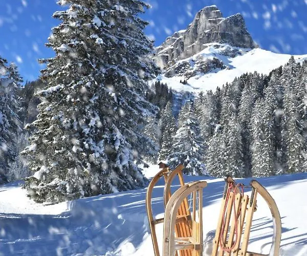 Appartement Allod Park Haus C U04 By Interhome Davos